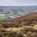 North York Moors